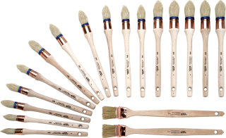 AGIR produit Lot de 18 brosses Entreprise