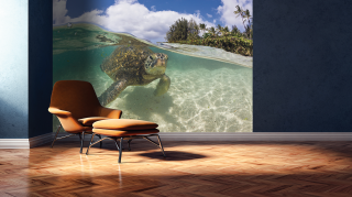 AGIR produit Collection JuicyWall