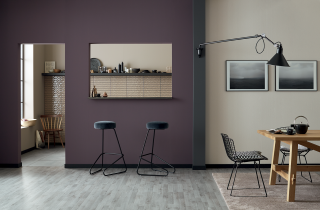 AGIR produit AGINTISS COLOR