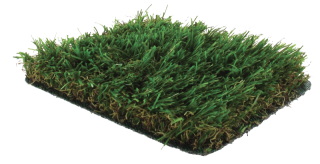 AGIR produit Gazon Cassis 35
